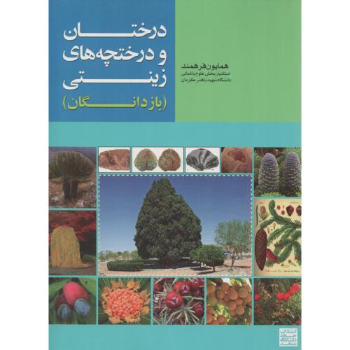 درختان و درختچه های زینتی (بازدانگان)
