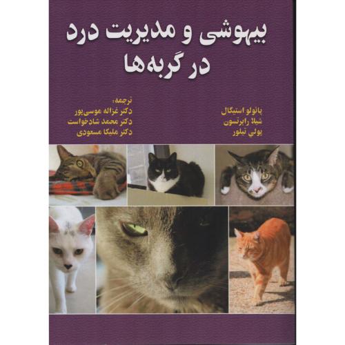 بیهوشی و مدیریت درد در گربه ها