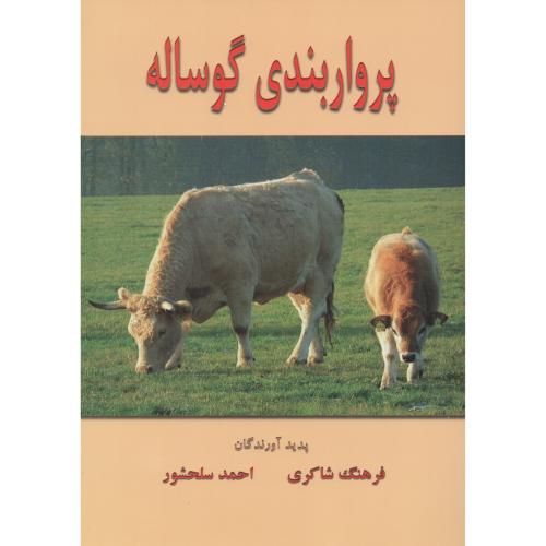 پرواربندی گوساله  شاکری  (کاج طلایی)