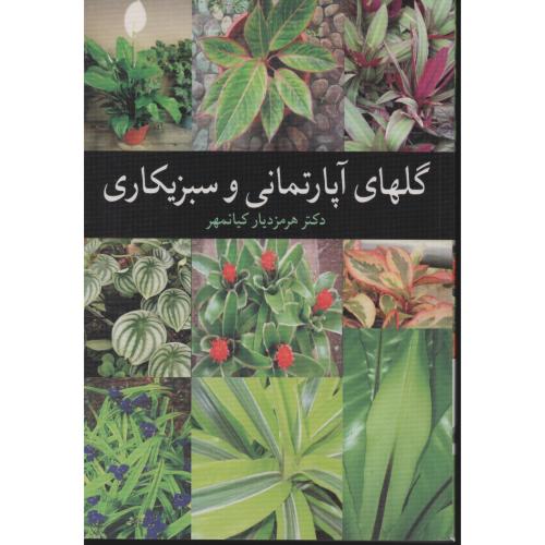 گلهای آپارتمانی و سبزیکاری  کیانمهر   آییژ