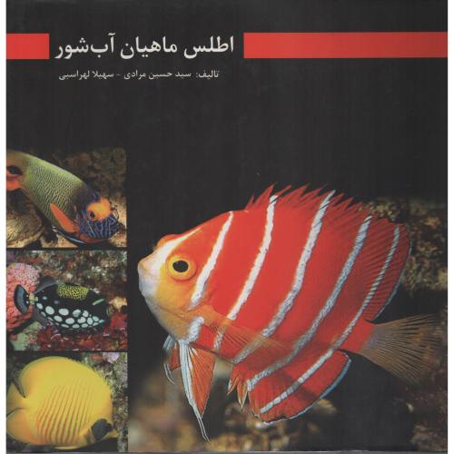 اطلس‏ ماهیان‏ آب‏ شور مرادی‏ (خشتی)