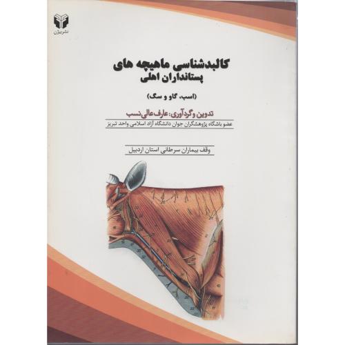 کالبد شناسی  ماهیچه  های  پستانداران  اهلی