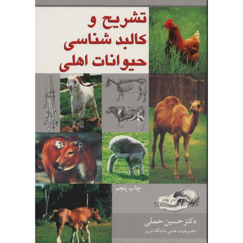 تشریح و کالبدشناسی حیوانات اهلی  حملی