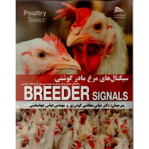 سیگنال های مرغ مادر گوشتی مدیریت بهینه پرورش مرغ مادر) پادینا