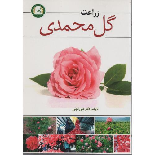 زراعت گل محمدی   ثابتی