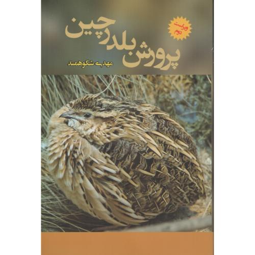 پرورش بلدرچین  شکوهمند