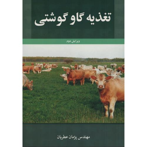 تغذیه گاو گوشتی آییژ