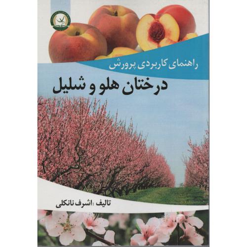 راهنمای کاربردی پرورش درختان هلو و شلیل