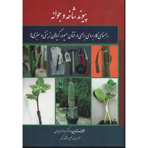 پیوند شاخه و جوانه    خدیوی