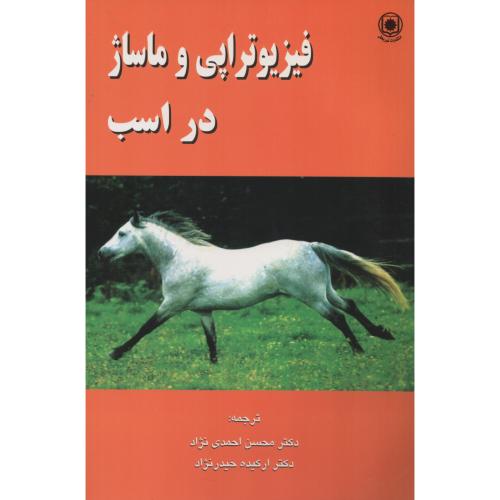 فیزیوتراپی و ماساژ در اسب