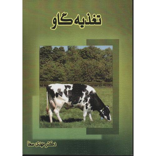 تغذیه گاو  مهدی سخا   پرتو واقعه